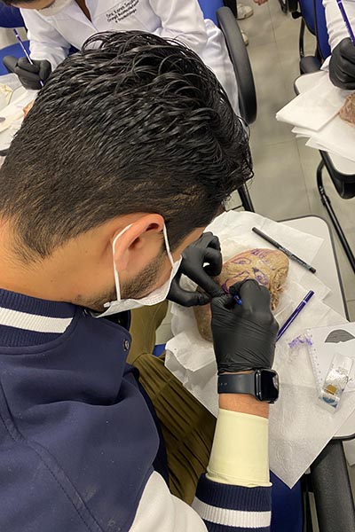 Bucomaxilofacial-04